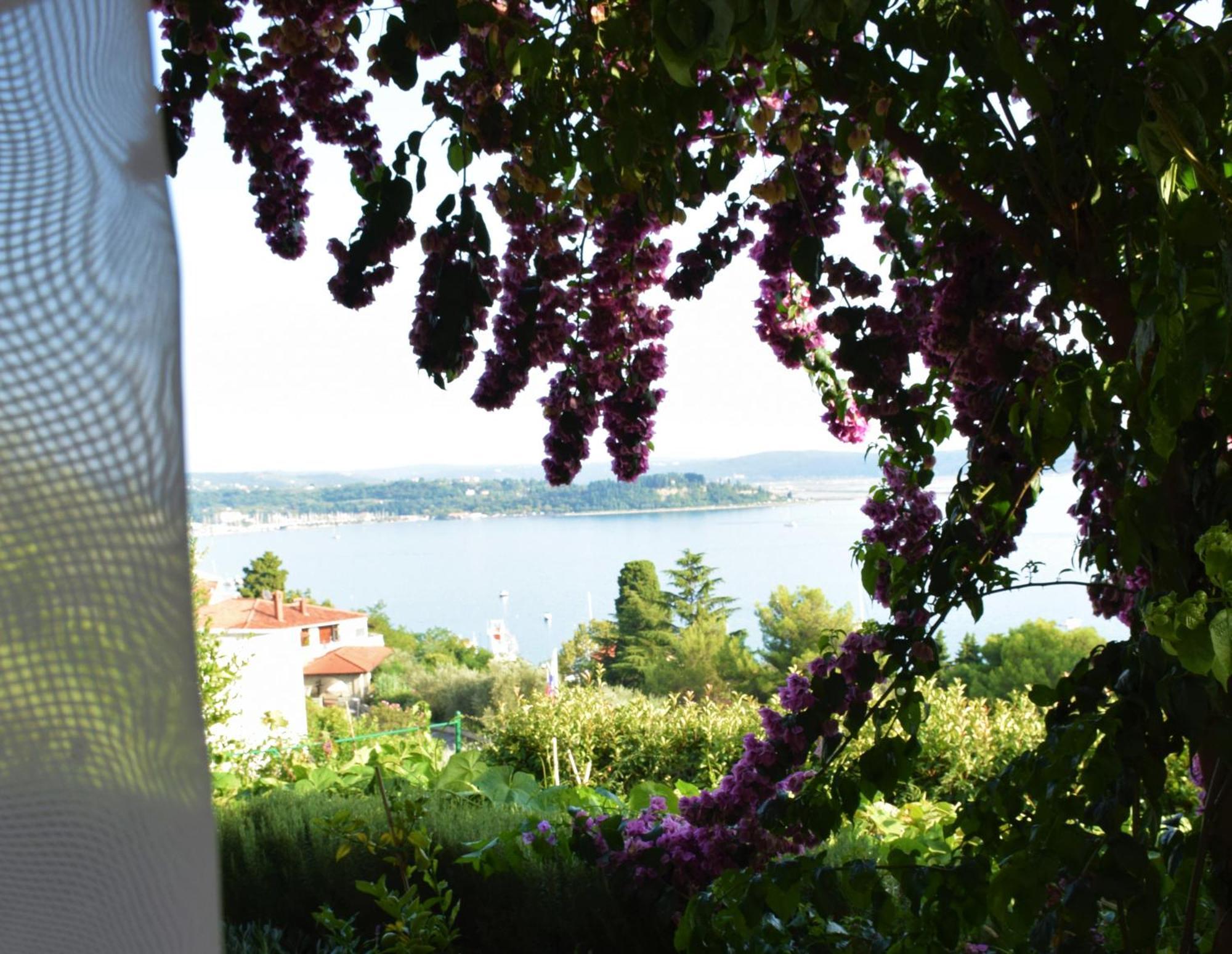 Apartments Fink Portoroz Ngoại thất bức ảnh